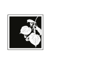 Tilia